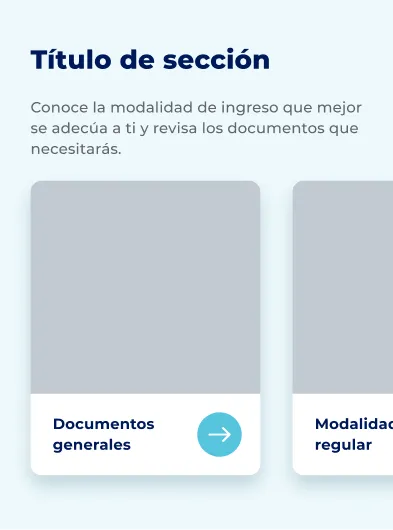 Componente Carrusel - Variante 4 - Versión Mobile
