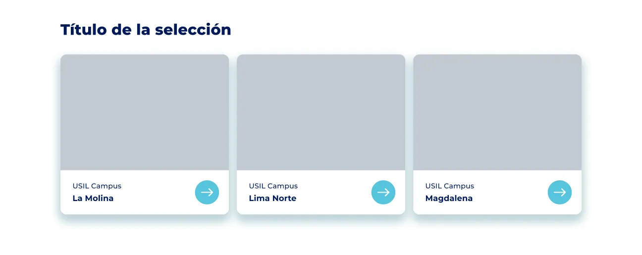 Componente Grilla de Cards - Variante 1 - Versión Desktop