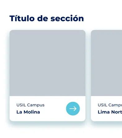 Componente Grilla de Cards - Variante 1 - Versión Mobile