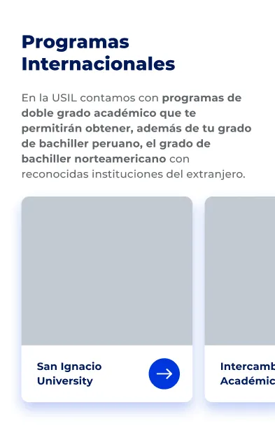 Componente Grilla de Cards - Variante 3 - Versión Mobile
