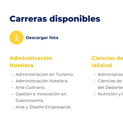 Componente Lista en Grilla - Variante 3 - Versión Mobile
