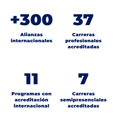 Componente Resumen Datos Destacados - Variante 1 - Versión Mobile