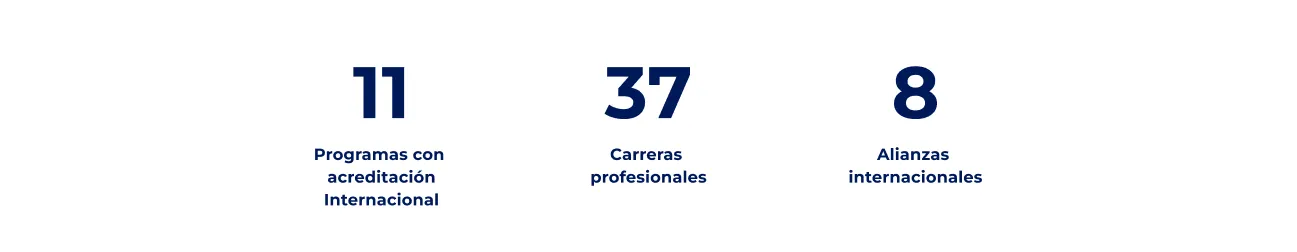 Componente Resumen Datos Destacados - Variante 2 - Versión Desktop
