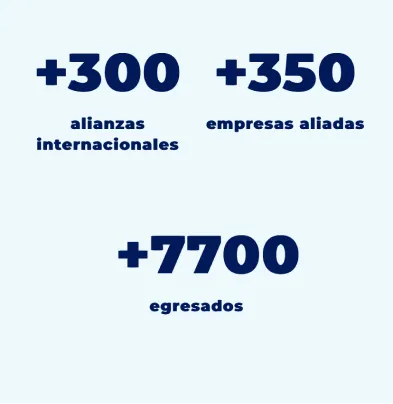 Componente Resumen Datos Destacados - Variante 2 - Versión Mobile