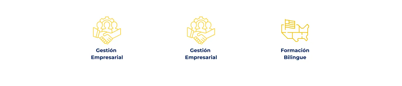 Componente Resumen Datos Destacados - Variante 4 - Versión Desktop