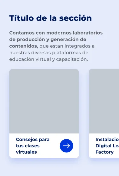 Componente Resumen Descripción Card Delgado - Variante 2 - Versión Mobile