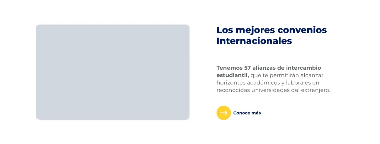 Componente Resumen Sección con Imagen - Variante 2 - Versión Desktop