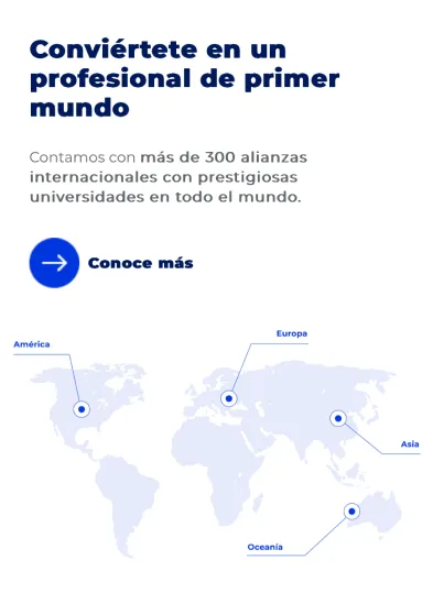 Componente Resumen Sección con Imagen - Variante 2 - Versión Mobile