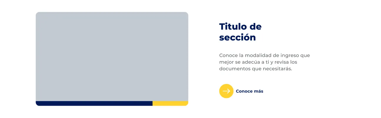 Componente Resumen Multimedia - Variante 1 - Versión Desktop