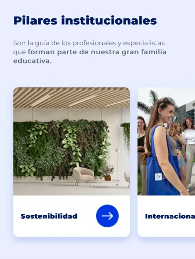 Componente Tarjetas - Variante 1 - Versión Mobile